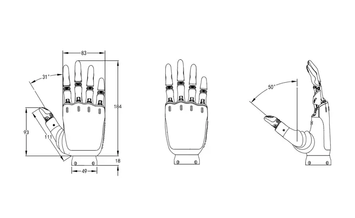 ● Human-like Hand De